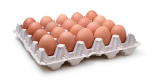 egg-tray